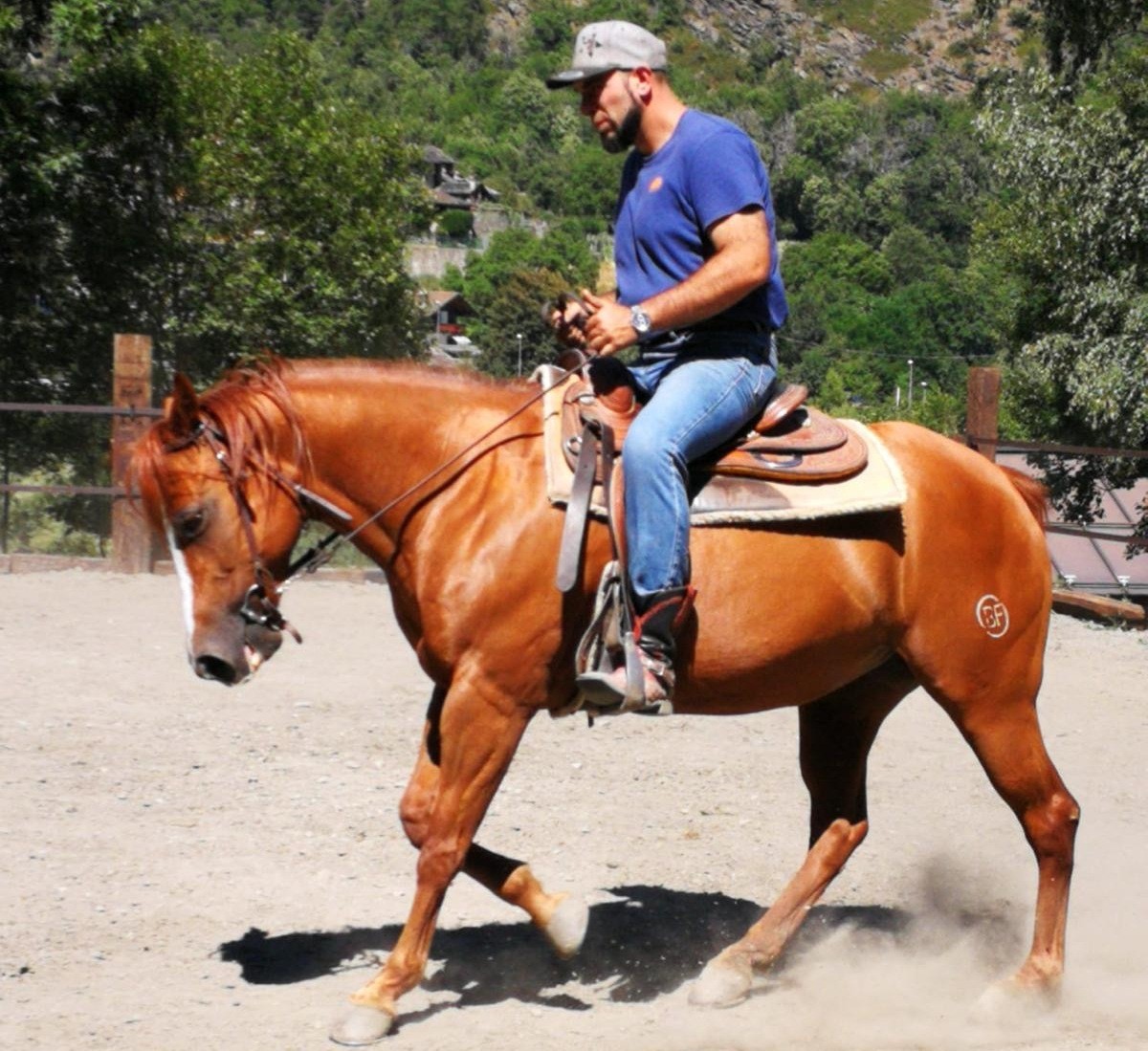 Le discipline dell'equitazione: monta western e monta inglese