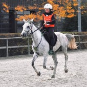 Endurance - ottimo argento a Samorin per Alessia Lustrissy su Edimburg nella CEI***140 km