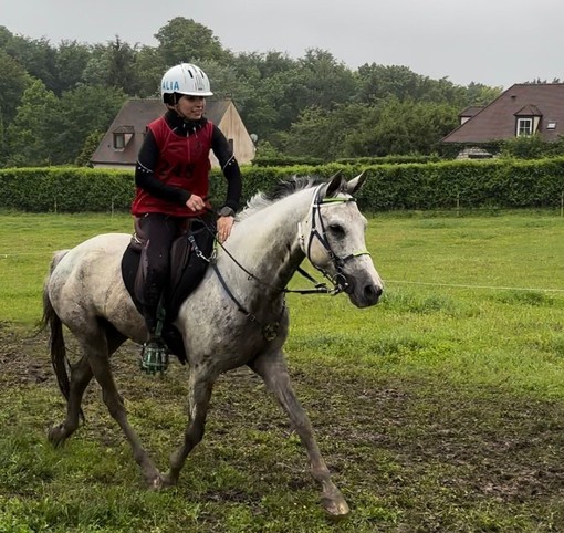 Endurance: Alessia Lustrissy e Edinburg a rappresentare l’Italia a Samorin nella CEI3*140 km