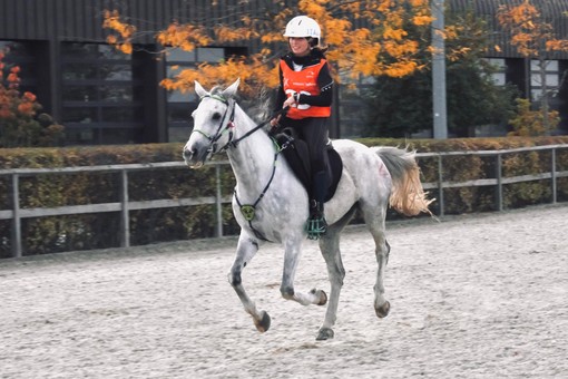 Endurance - ottimo argento a Samorin per Alessia Lustrissy su Edimburg nella CEI***140 km