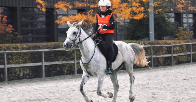 Endurance - ottimo argento a Samorin per Alessia Lustrissy su Edimburg nella CEI***140 km