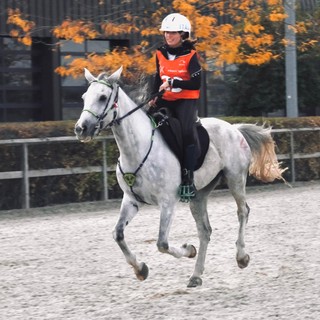 Endurance - ottimo argento a Samorin per Alessia Lustrissy su Edimburg nella CEI***140 km