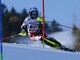 Pronta la squadra per Sochi (immagine da sito web neveitalia.it)